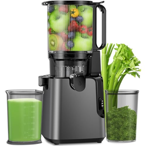 Juicer Machines with 5.8' Large Feed Chute, Cold Press Juicer For Whole Vegetables and Fruits, 400W Professional Slow Masticating juicer Easy to Clean for Batch Juicing (Titanium Gray)