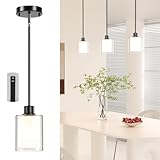 Pendant Light Kitchen Island Lighting, Height Adjuatable Rod Clear Dual Glass - with 3 Color Temperatures Bulb & Remote Control, Farmhouse Hanging Lighting Fixture for Dining Room Bedroom, 1 Pack