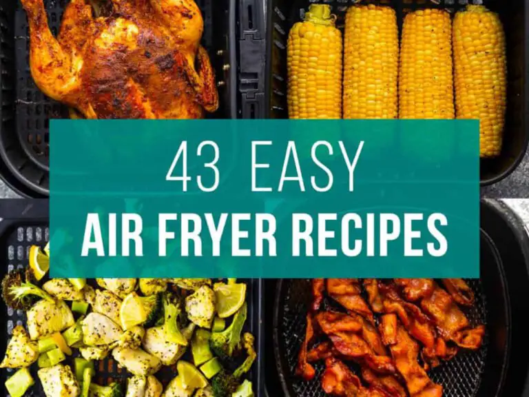 What to Cook in Your Air Fryer: 100 Quick and Delicious Recipes