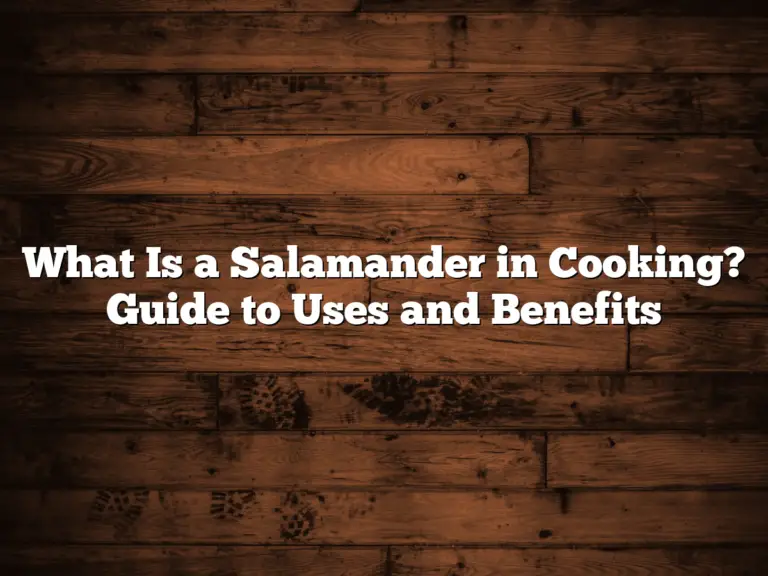 What Is a Salamander in Cooking? Guide to Uses and Benefits