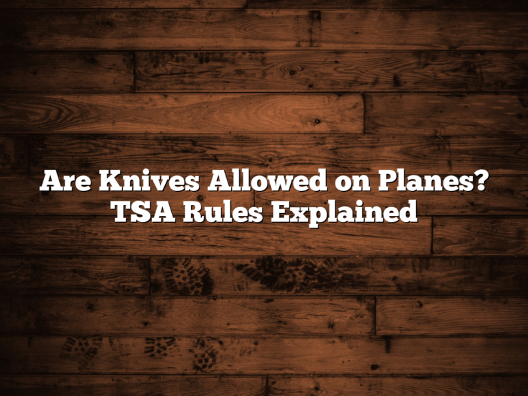 Are Knives Allowed on Planes? TSA Rules Explained