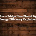 How a Fridge Uses Electricity: Energy Efficiency Explained