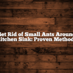 Get Rid of Small Ants Around Kitchen Sink: Proven Methods