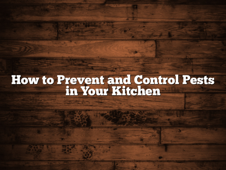 How to Prevent and Control Pests in Your Kitchen