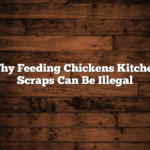 Why Feeding Chickens Kitchen Scraps Can Be Illegal