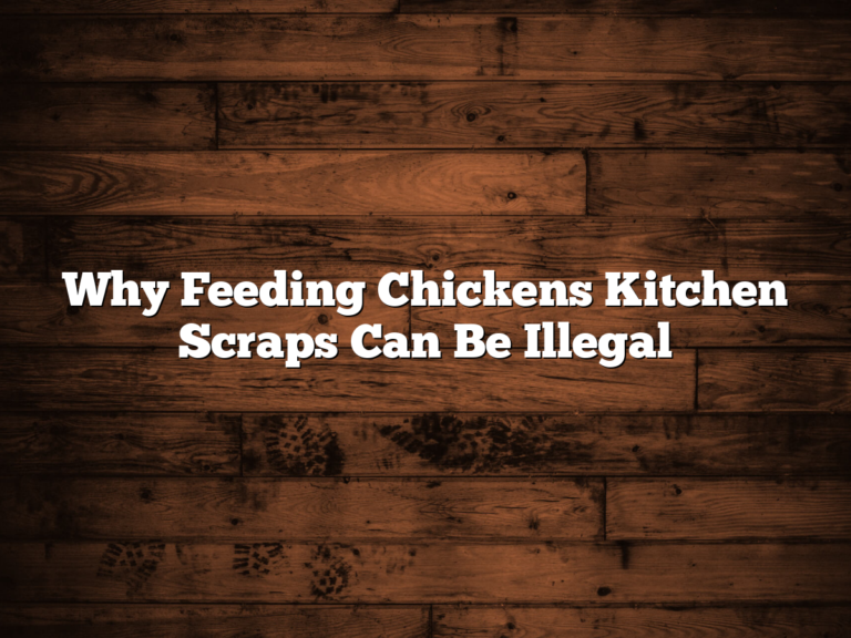 Why Feeding Chickens Kitchen Scraps Can Be Illegal