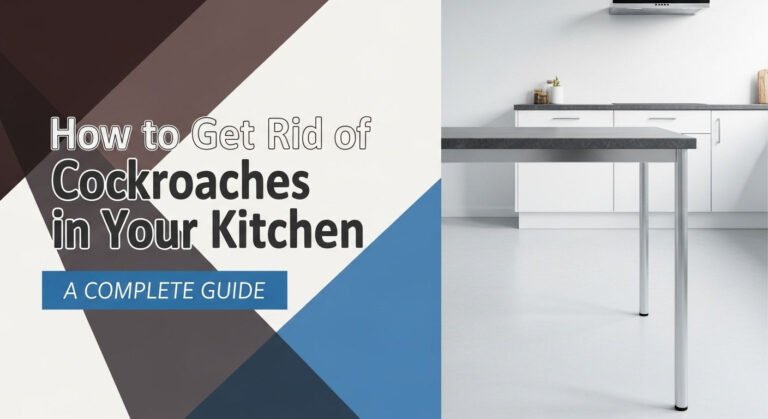How To Get Rid Of Cockroaches In Your Kitchen: A Complete Guide 3 How to Get Rid of Cockroaches in Your Kitchen: A Complete Guide